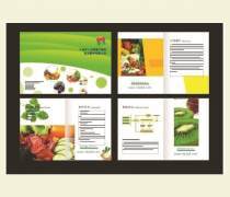 產品樣本設計制作 圖文設計驅動熱賣促銷的關鍵